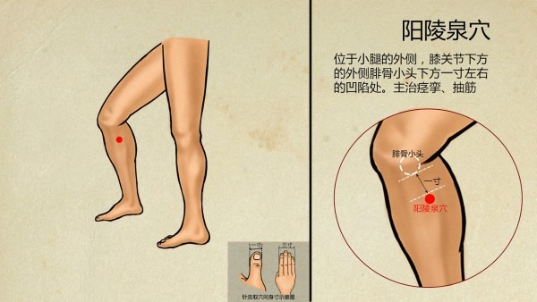 롶˺Ѩ⡷