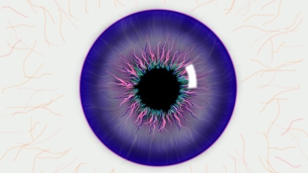 躺床上玩手机致视网膜脱落，视网膜脱落后还能恢复吗？